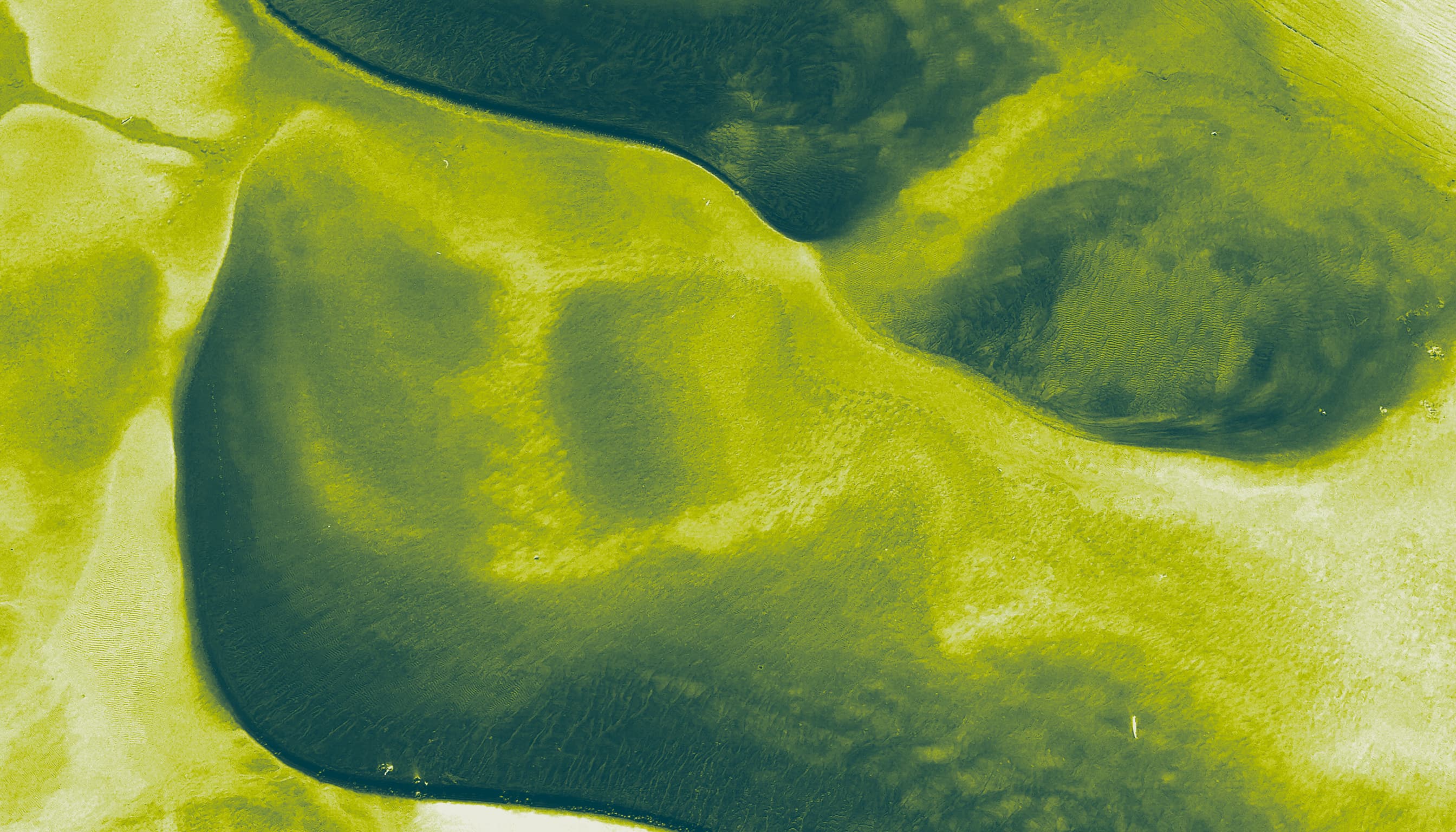 27 Teal Lime Beige 5